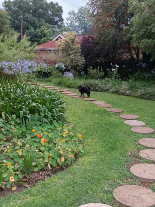 5 Bedroom Property for Sale in Parys Free State